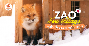 Zao Fox Village