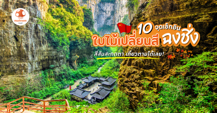 10 จุดเช็กอิน ใบไม้เปลี่ยนสี ฉงชิ่ง สีสันสะกดตา ฤดูเดียวเท่านั้น !