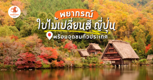 พยากรณ์ ใบไม้เปลี่ยนสี ญี่ปุ่น
