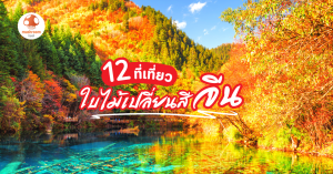 ใบไม้เปลี่ยนสี จีน