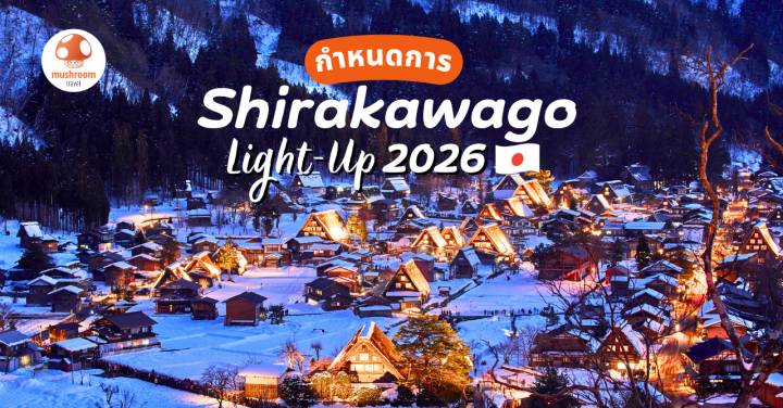 Shirakawago Light Up 2026 งานแสดงไฟหมู่บ้านมรดกโลกที่ญี่ปุ่น หนึ่งปีมีครั้ง!