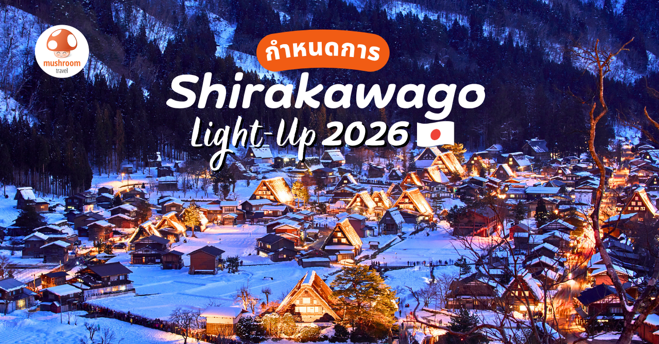 Shirakawago Light Up