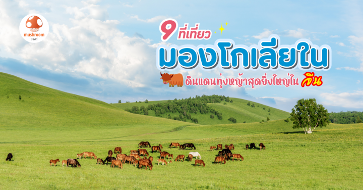 9 ที่เที่ยว มองโกเลียใน ดินแดนทุ่งหญ้าสุดยิ่งใหญ่ในจีน